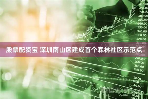 股票配资宝 深圳南山区建成首个森林社区示范点